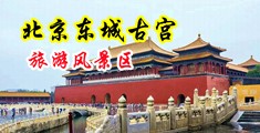 白嫩无码乱入中国北京-东城古宫旅游风景区